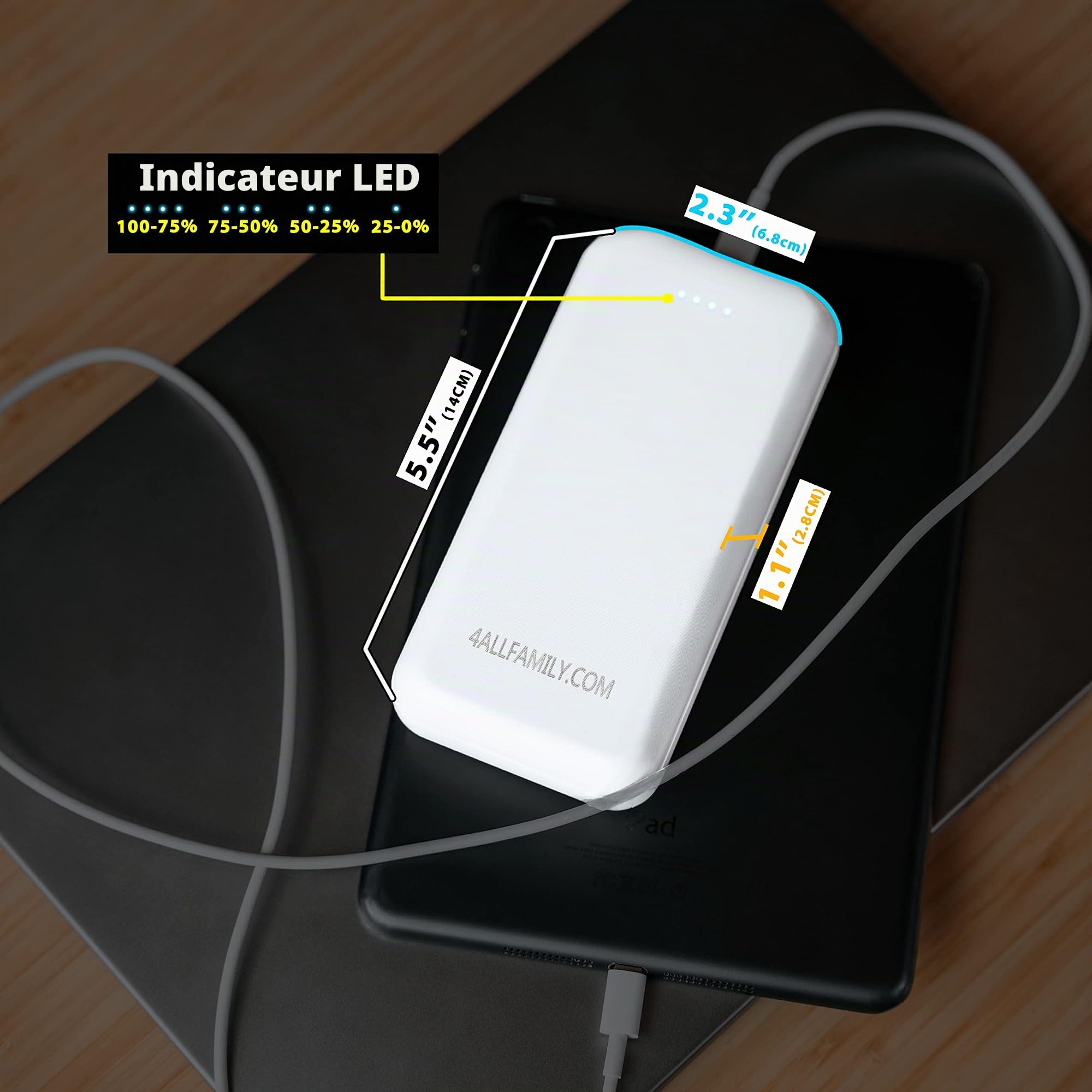 4ALLFAMILY Powerbank Portable de 20 000 mAh | Conçu spécifiquement pour s'adapter aux glacières Voyager et Explorer Version USB | Compatible avec la Plupart des Autres Gadgets