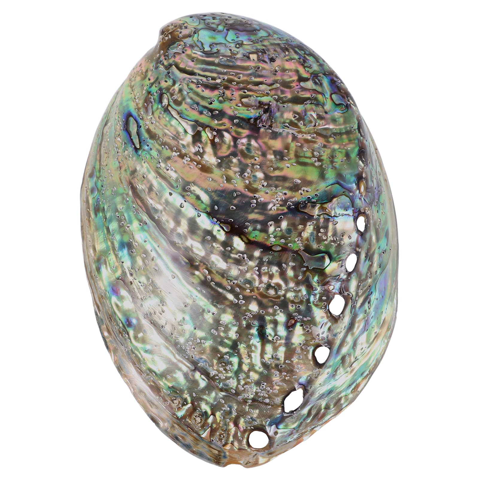 Veemoon Natürliche Abalone-Schale Shell Desktop Tank Zubehör Strand Räucherstäbchen Poliert Hoch DIY Anhänger Wohnschmuck Poliert Ring Tisch cm Paua für Halter Clearing Bowl Coastal Large Dekorative