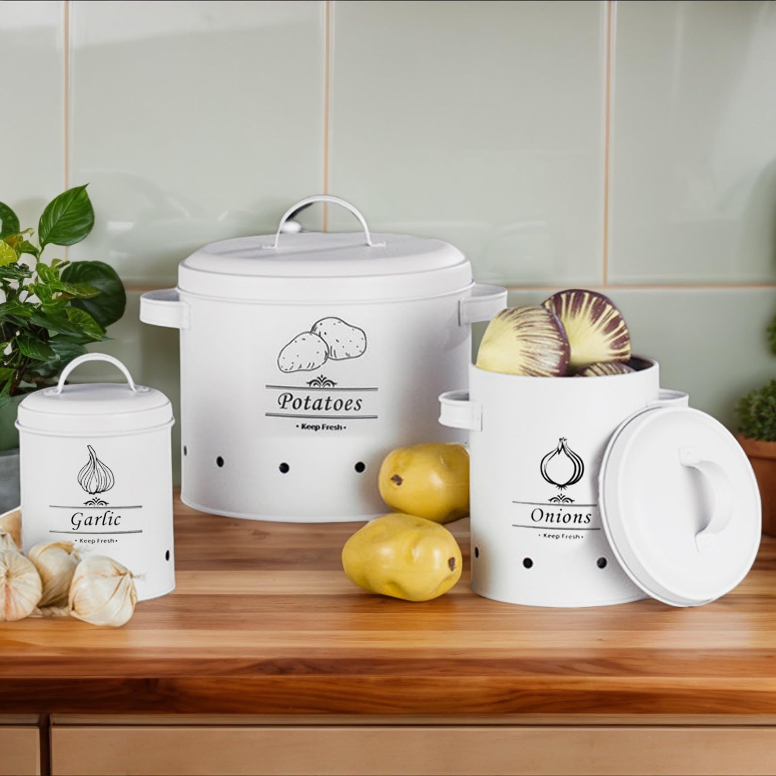 Generisch Aufbewahrungsbehälter für – Weiße Vorratsdosen für Kartoffeln | und Zwiebeln | Vorratsdose Frischhaltedose Lebensmittel, Vintage-töpfe für Zuhause, Café, Küche