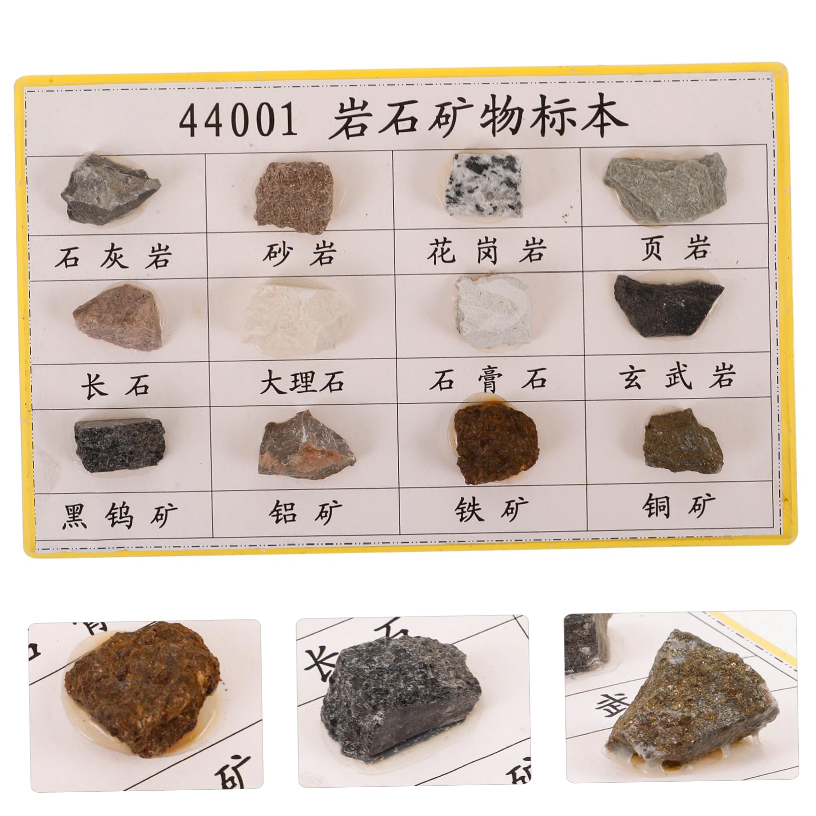GARVALON 12 Pcs Rock Specimen Set Student Sicorss Labrynths Features Showses Display Mineral Rock Specimen Rock Specimen for Laboratory Mineral Rock Kit Rock Specimen for Collecting Plastic