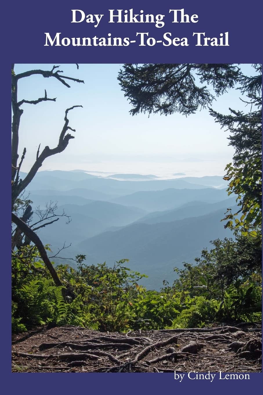 Day Hiking the Mountains-To-Sea Trail