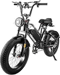 PAIMINN 原動機付自転車 レトロ調 20インチ アルミ ファット