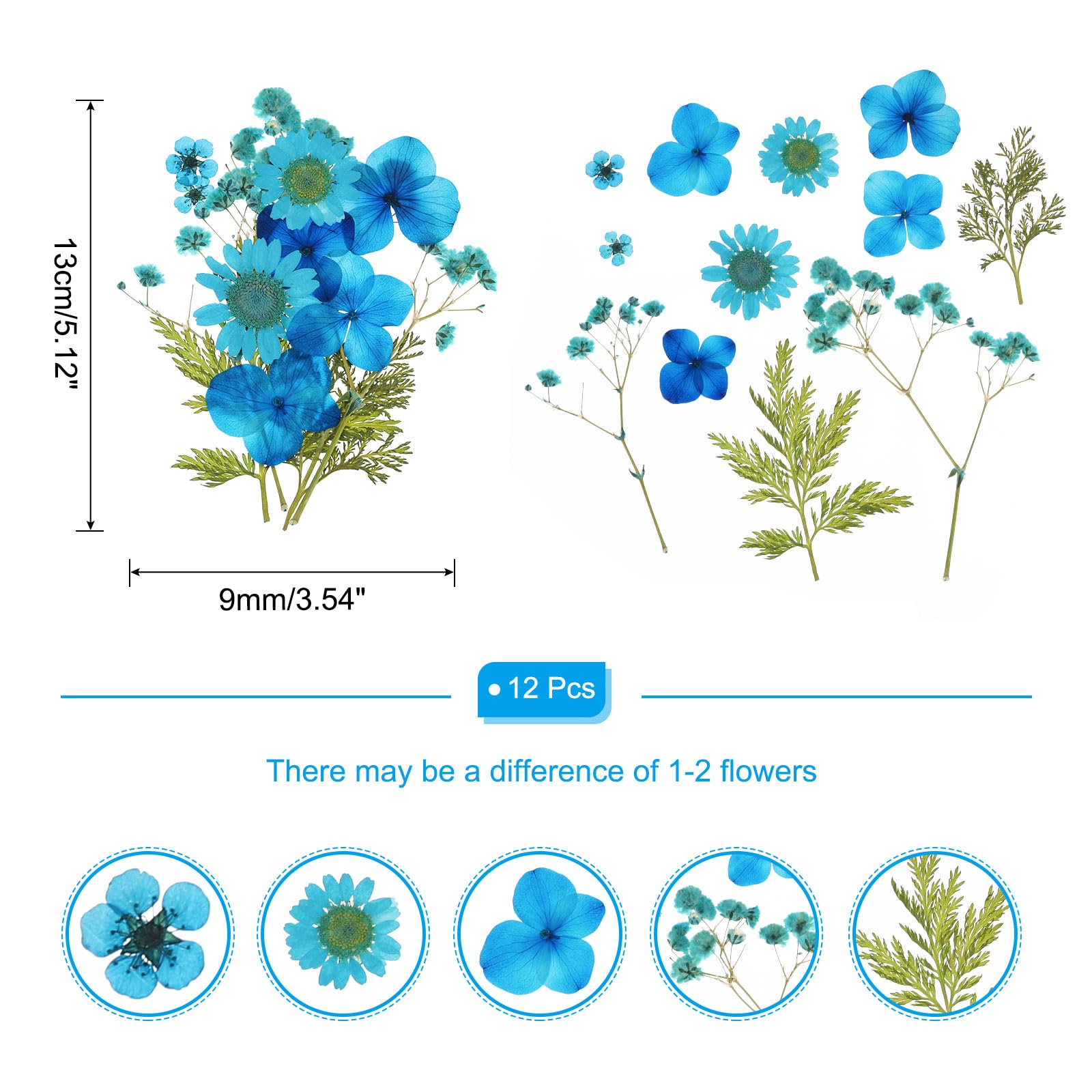 PATIKIL Dried Pressed Flowers, Real Dry Leaves Pressed Bloom for Scrapbook Supplies Card Making Resin Jewelry Making Soap Candle DIY Crafts, Blue - Image 2