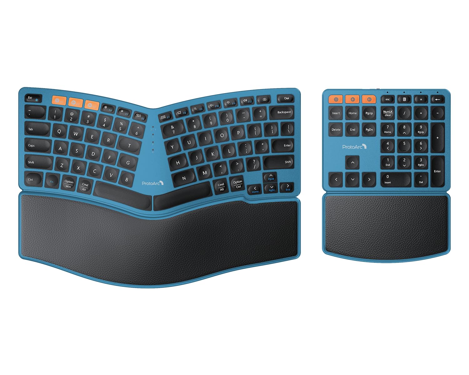ProtoArc Ergonomic Keyboard: Hollow Keys & Function Key Quirks — A Worthy Ergonomic Investment?