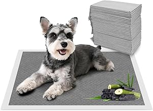 Nobleza Empapadores Perros 60x60cm (50 Unid), Carbón Activado para Control de Olores, Absorbe al Instante ¡Secado Rápido! Almohadillas de Antiderrames de Perros y Cachorros