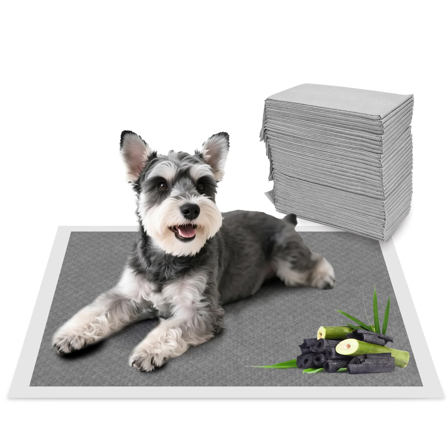 Nobleza Empapadores Perros 60x60cm (100 Unid), Carbón Activado para Control de Olores, Absorbe al Instante ¡Secado Rápido! Almohadillas de Antiderrames de Perros y Cachorros