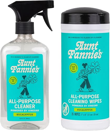 Aunt Fannie's Paquete: Spray de limpieza de vinagre multiusos (Eucalyptus) + toallitas de limpieza de vinagre (Eucalyptus)