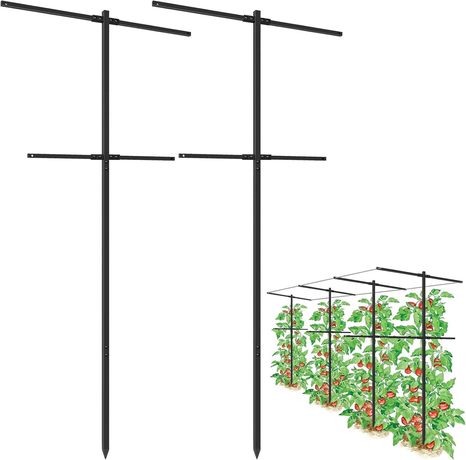 2 Pack Metal Detachable Raspberry & Grape Vine Trellis for Climbing Plants, Heavy-Duty 7 Ft Tall Large Vineyard Trellis Support, Sturdy Garden Stakes for Outdoor Raised Beds Vegetables Fruits Flowers