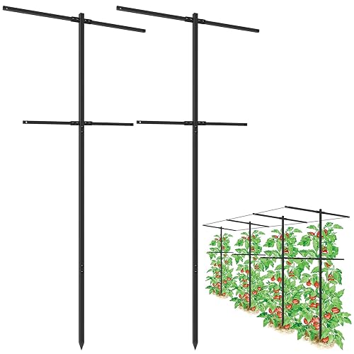 2 Pack Metal Detachable Raspberry & Grape Vine Trellis for