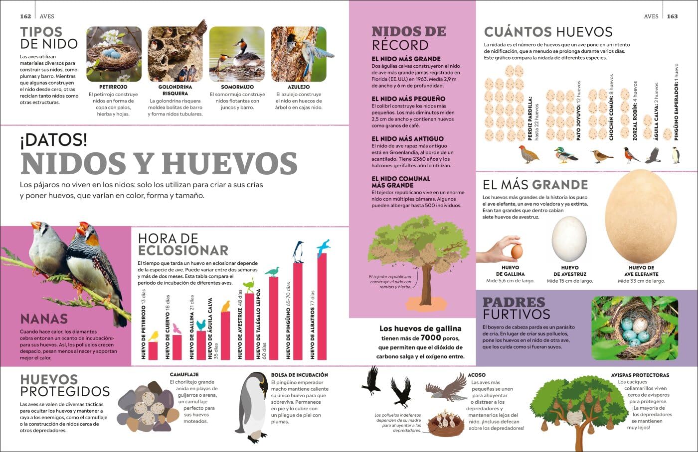 La superenciclopedia de los animales: Invertebrados | Peces | Anfibios | Reptiles | Mamíferos (Enciclopedia visual juvenil)