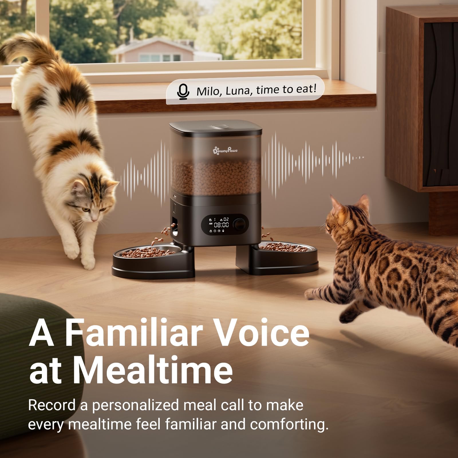 DownyPaws Distributeur Croquettes Chat Automatique, sans Fil avec Minuterie