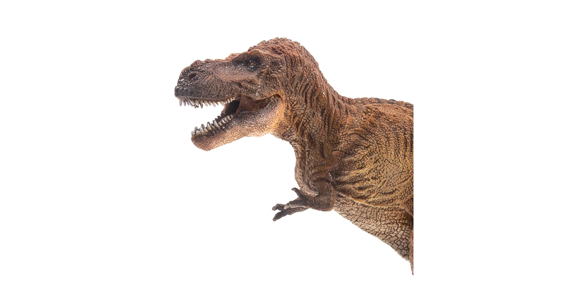 71t1E03fesL.jpg_BO30,255,255,