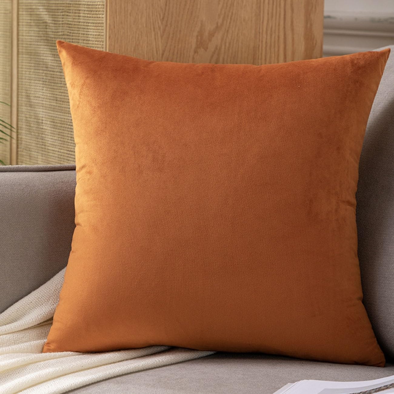 Swj-Swjssb #13 Velvet Pillow Cases Square Extra Large Cushion Covers 50X50, 60 X 60,50X70,60X80 Cm Soft Pillow Cover With Invisible Zipper Decorative Pillowcases 2 Pack For Pillows Sofa Couch(,50X70 Cm(Set Of 2 )