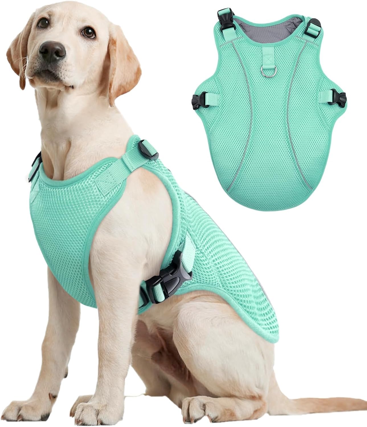 Lightweight Dog Cooling Vest for Large Breeds – Breathable & Reflective Lightweight Dog Cooling Vest for Large Breeds – Breathable & Reflective