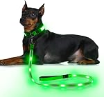 LED Dog Leash, YFbrite Light Up Dog Leash, 4 Feet Micro USB Rechargeable Dog Lead Light, Nylon Reflective Glow Safety Standard Leashes for Small Medium Large Dogs (Green)