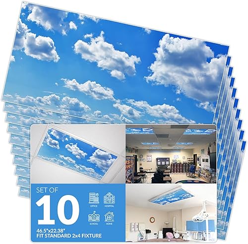 Octo Lights Cubiertas de luz fluorescente para luces de techo para aula de 2 x 4 2238 x 465 pulgadas mejoran el enfoque eliminan los dolores de