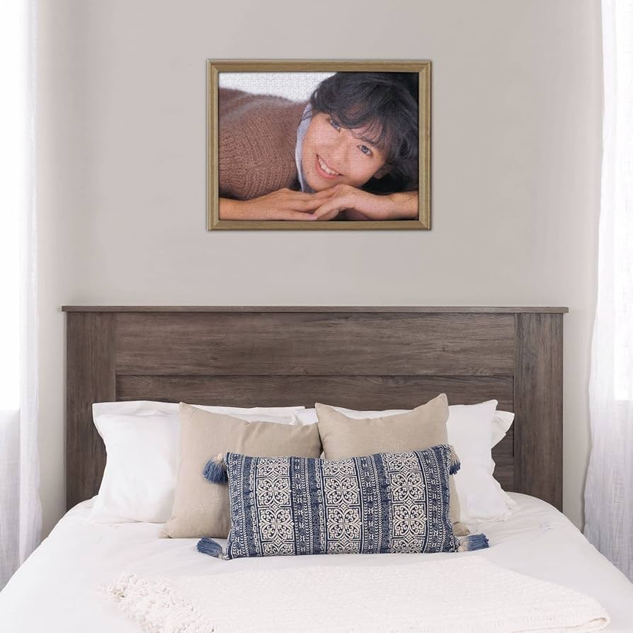 Amazon.co.jp: 南野陽子 パズル 500ピース 脳部運動 ストレス解消 大人