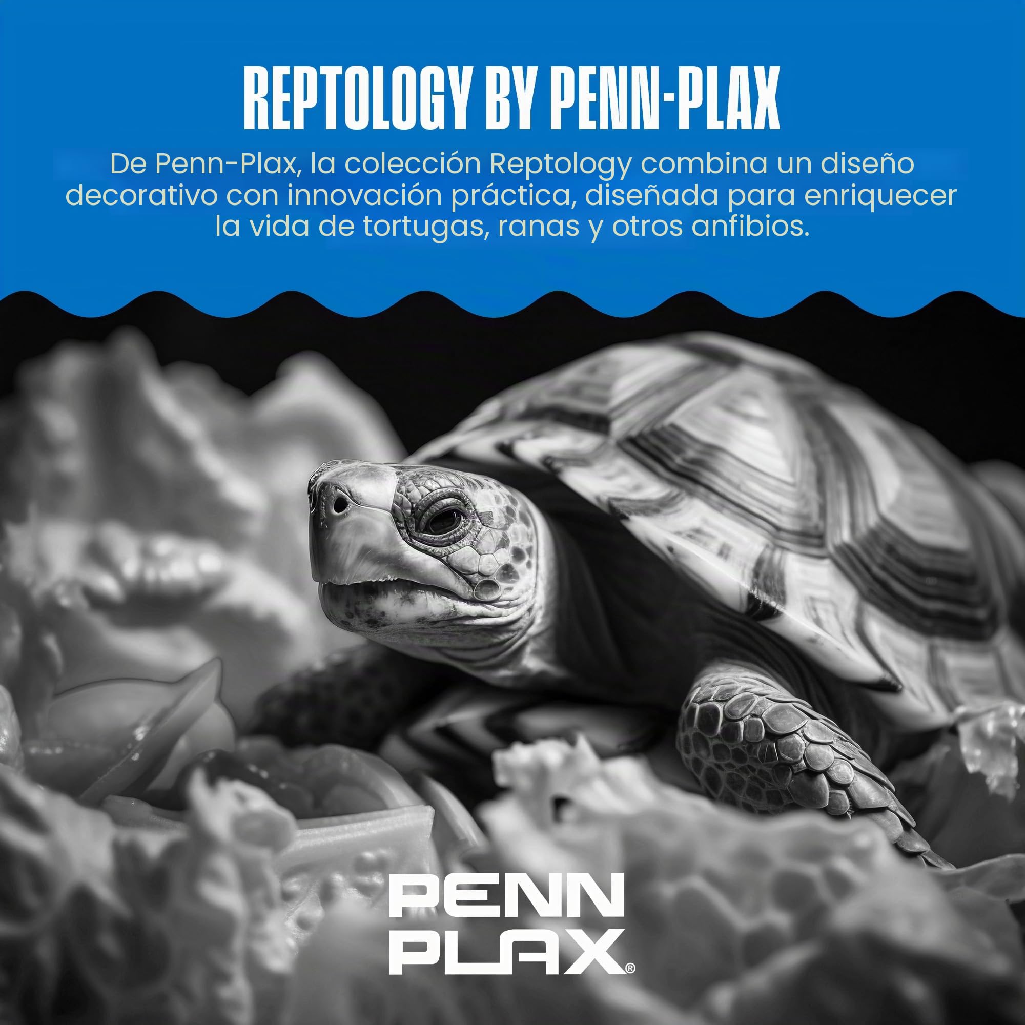 Penn REP603 Plax Reptology - Muelle Flotante de Tortugas y Plataforma para Tomar el Sol, 41 x 28 cm