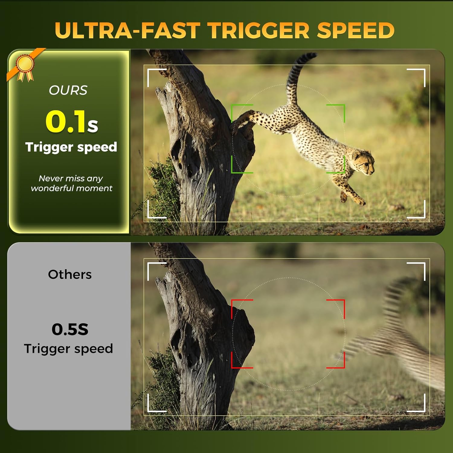 Trail camera mounted on a tree