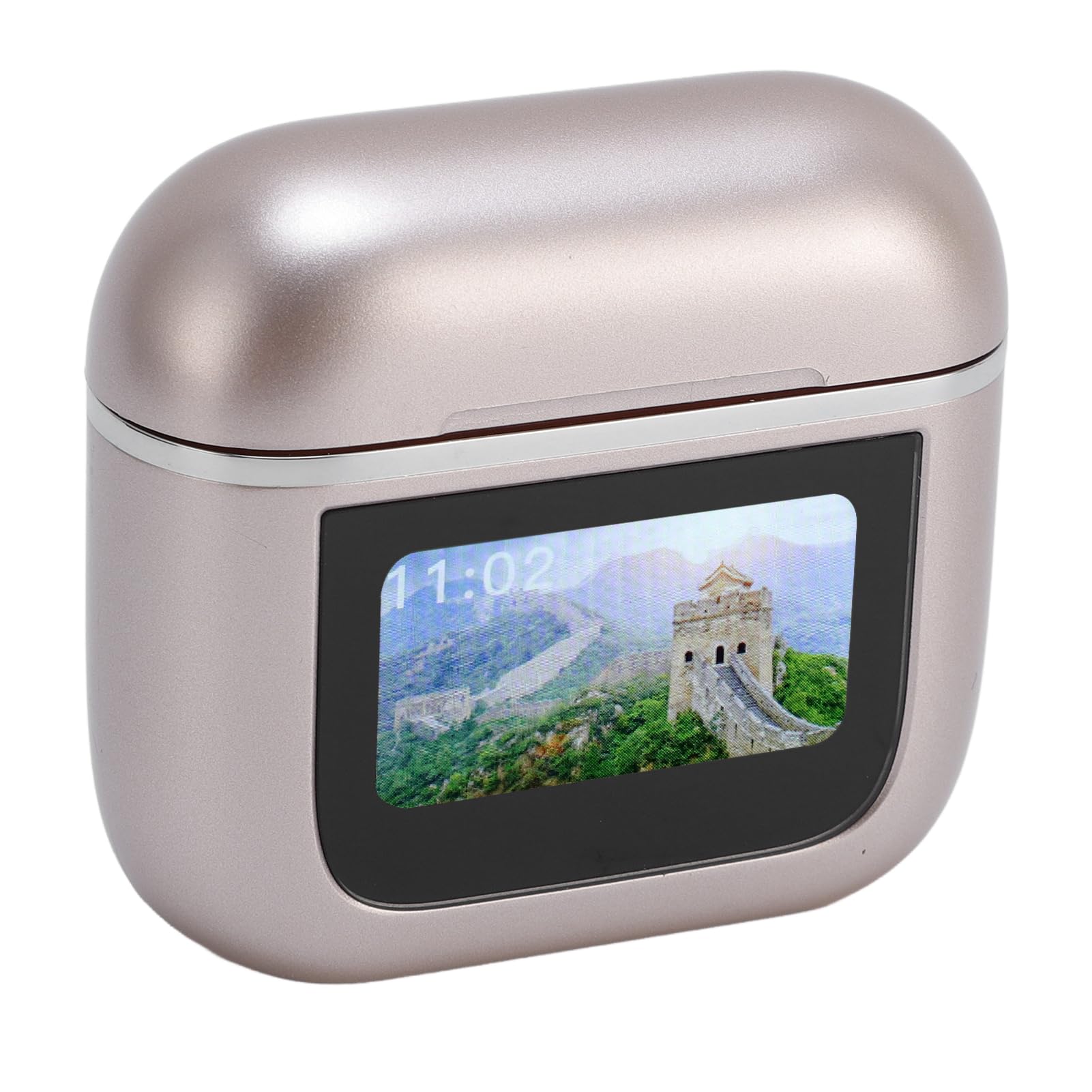 Fabater Auricolari per Traduttore di Lingua Cancellazione Attiva del Rumore Batteria a Lunga Durata per Viaggiatori e Appassionati di Lingue 2 Auricolari 1 Custodia per (GOLD)