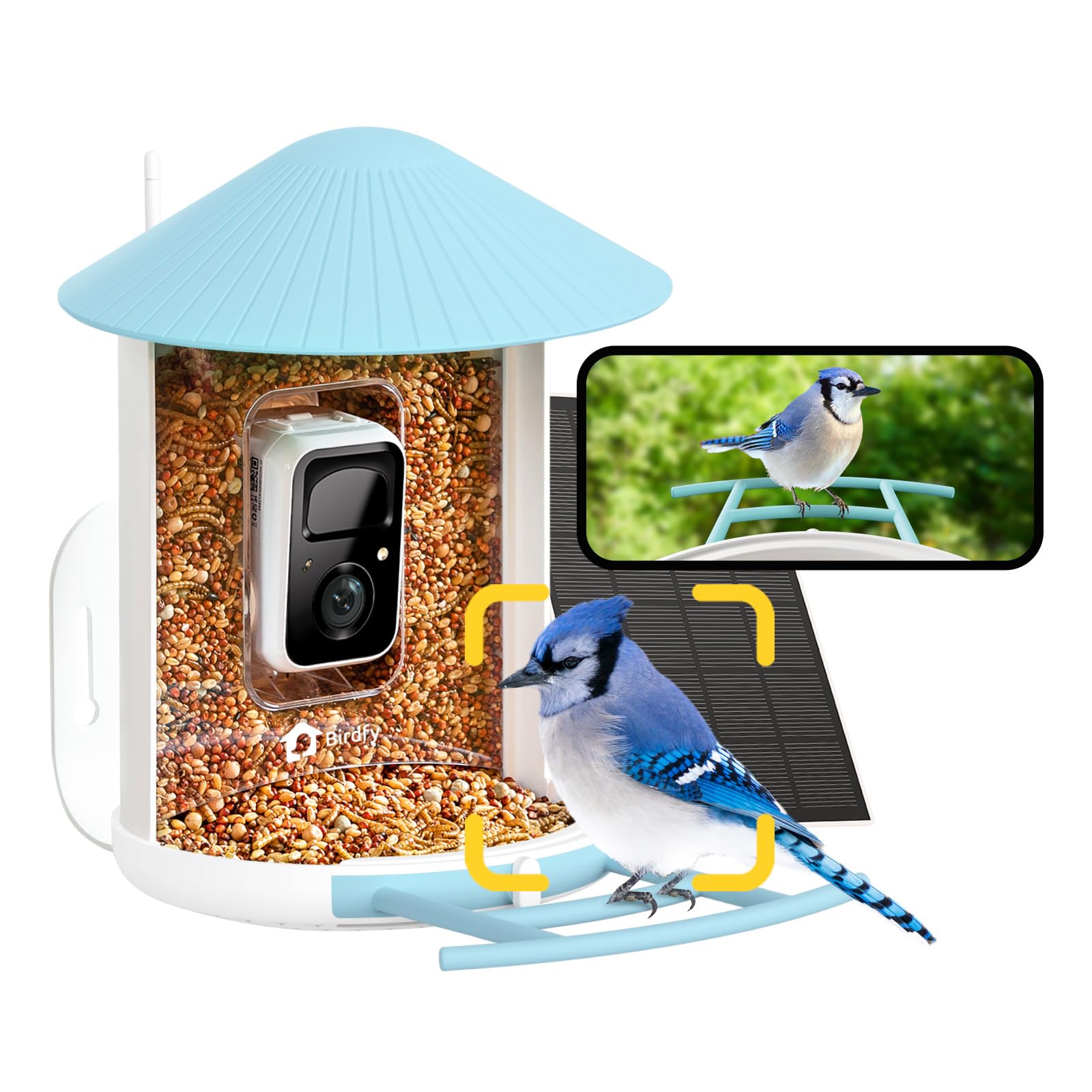 NETVUE by Birdfy Comedero Pajaros Camara, Comedero Pajaros Exterior, Comedero Aves Cámara WiFi con Batería & Solar Panel, Notificación Instantánea, Captura Automática de Imagen/Video
