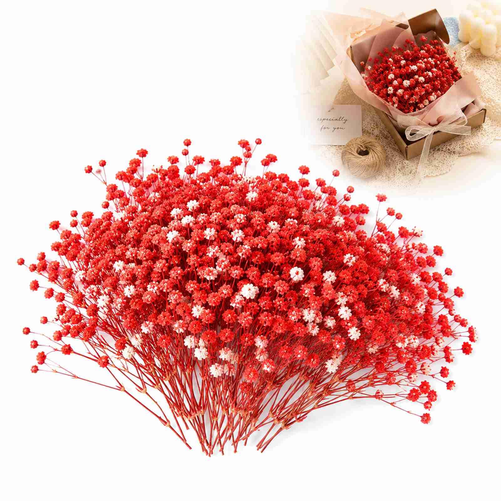 WHJYCC 100PCS Naturally Dried Red Gypsophila Mini Flowers for DIY Crafts, Resin Art and Wedding Décor - Real Pressed Flowers with Sturdy Protective Boxed Case for Home, Floral Arrangements (Red)