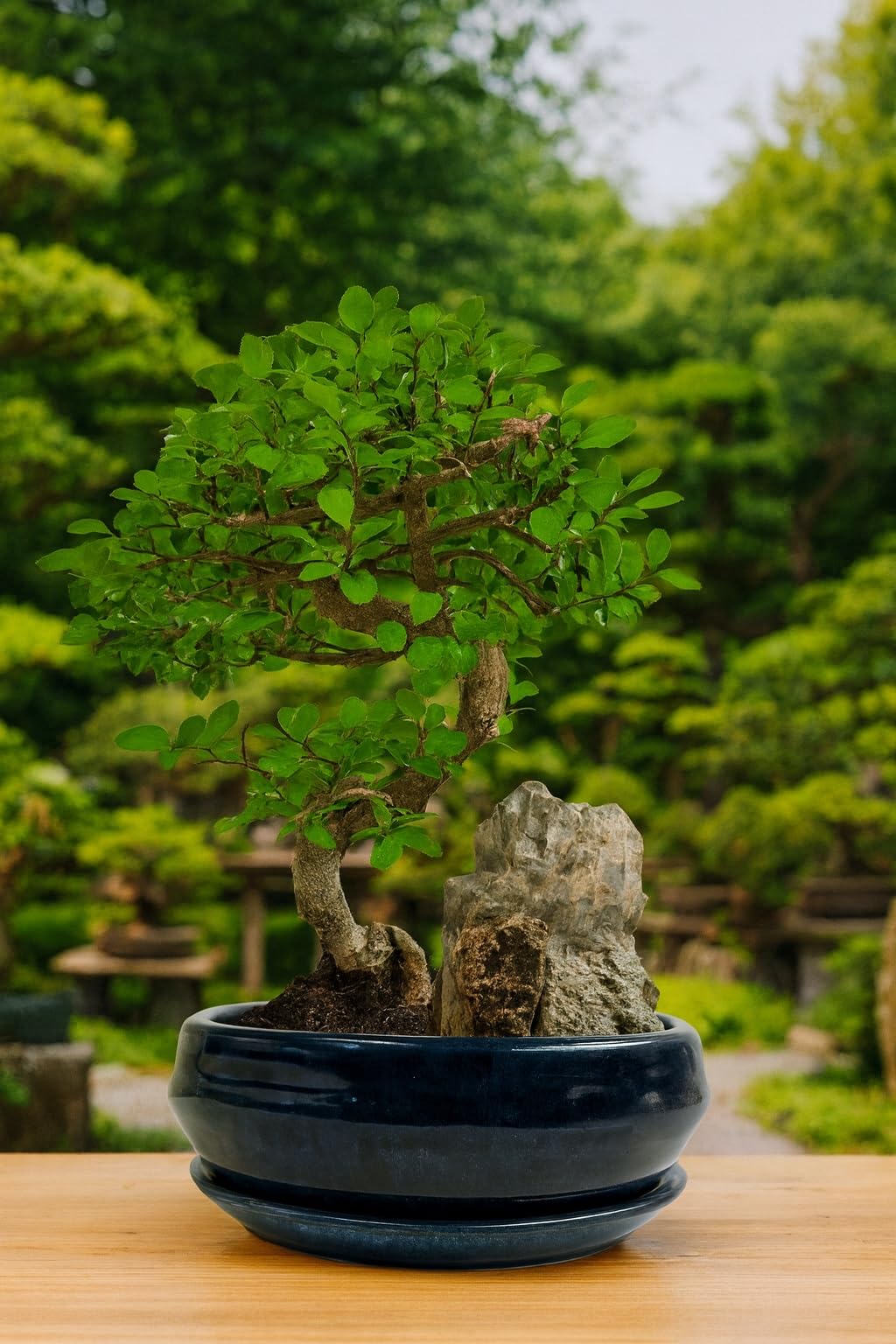 fake bonsai plants Artificial Bonsai Tree