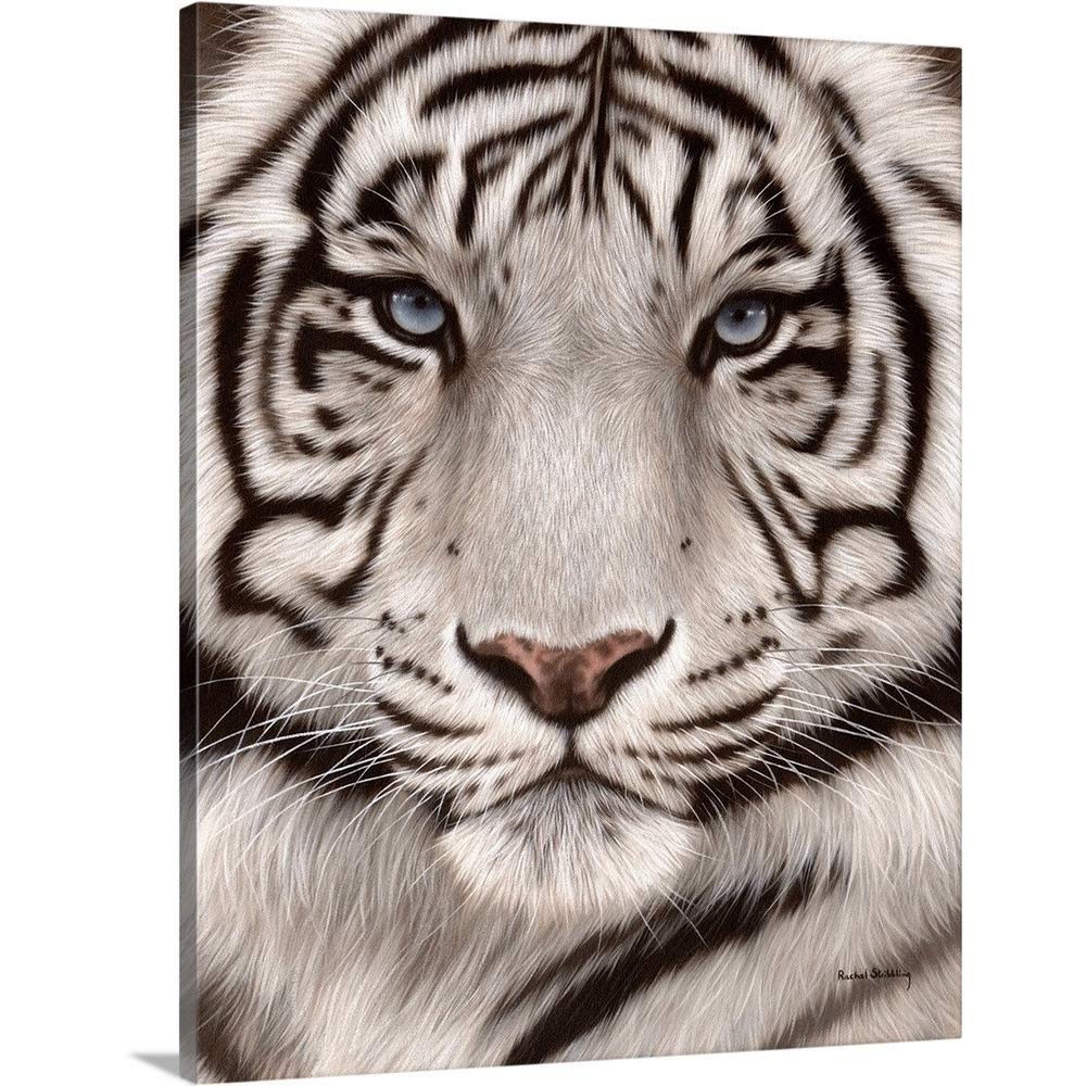 Amazon.co.jp: ホワイトタイガーフェイス ポートレート キャンバス