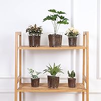 Vista 5 de JERIA Paquete de 30 macetas transparentes de 567 pulgadas con agujeros de drenaje, maceta transparente para plantar, macetas de plástico