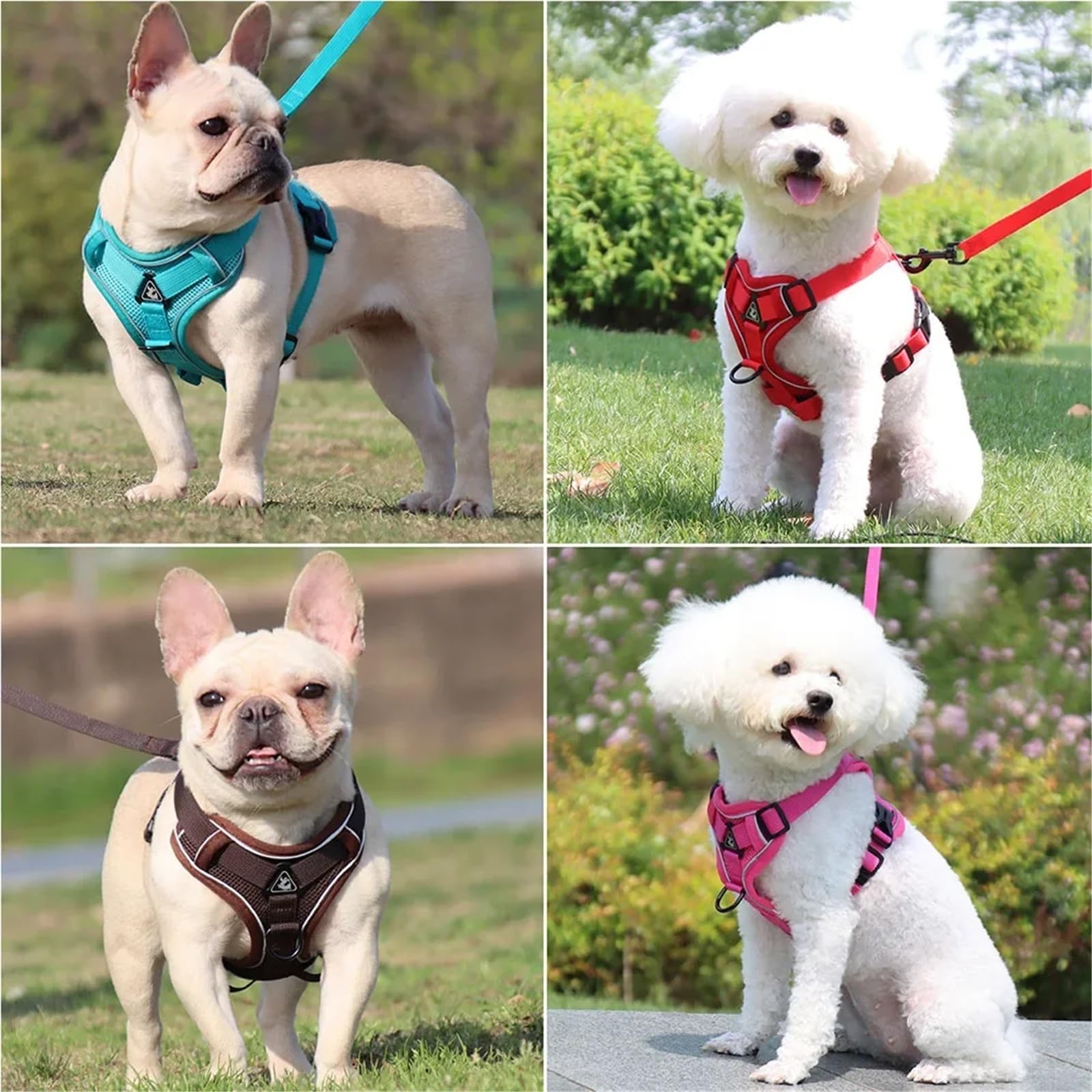 Pettorina Regolabile Anti-trazione per Cani con guinzaglio da 1,5 m - Gilet Riflettente e Traspirante per Cani, Cuccioli e Gatti(Red,XL (8-12KG))