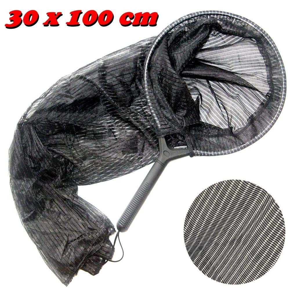 Osaga Épuisette Koikescher - Taille M - 30 x 100 cm - Épuisette de bassin - Tuyau de transfert de poisson - Épuisette koï