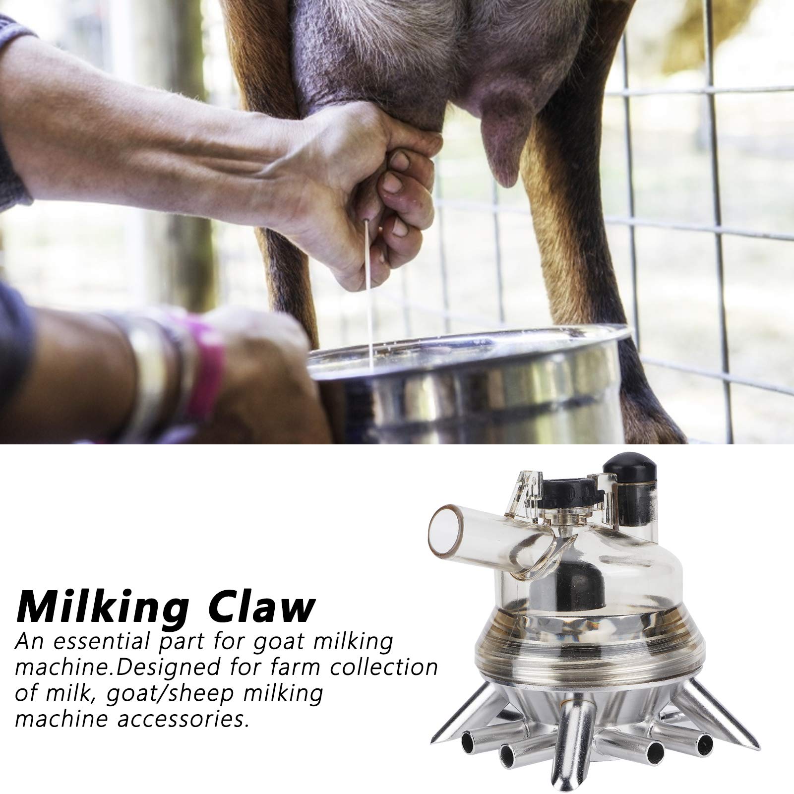 OUKENS Melkklaue, 150ml Kuhmilchsammler mit Mehrfachverteilern Edelstahl Melkmaschine Ersatzteil Milchklauencluster für Ziegen und Schafe, Landwirtschaftliche Ausrüstung