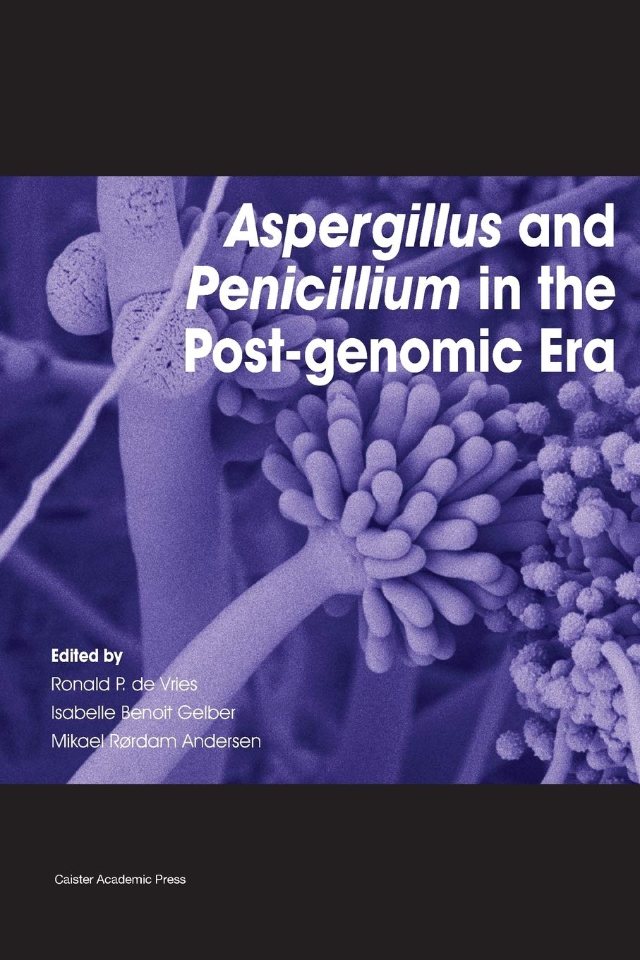 Buy Aspergillus and Penicillium in the Post-Genomic Era — BookShops.in