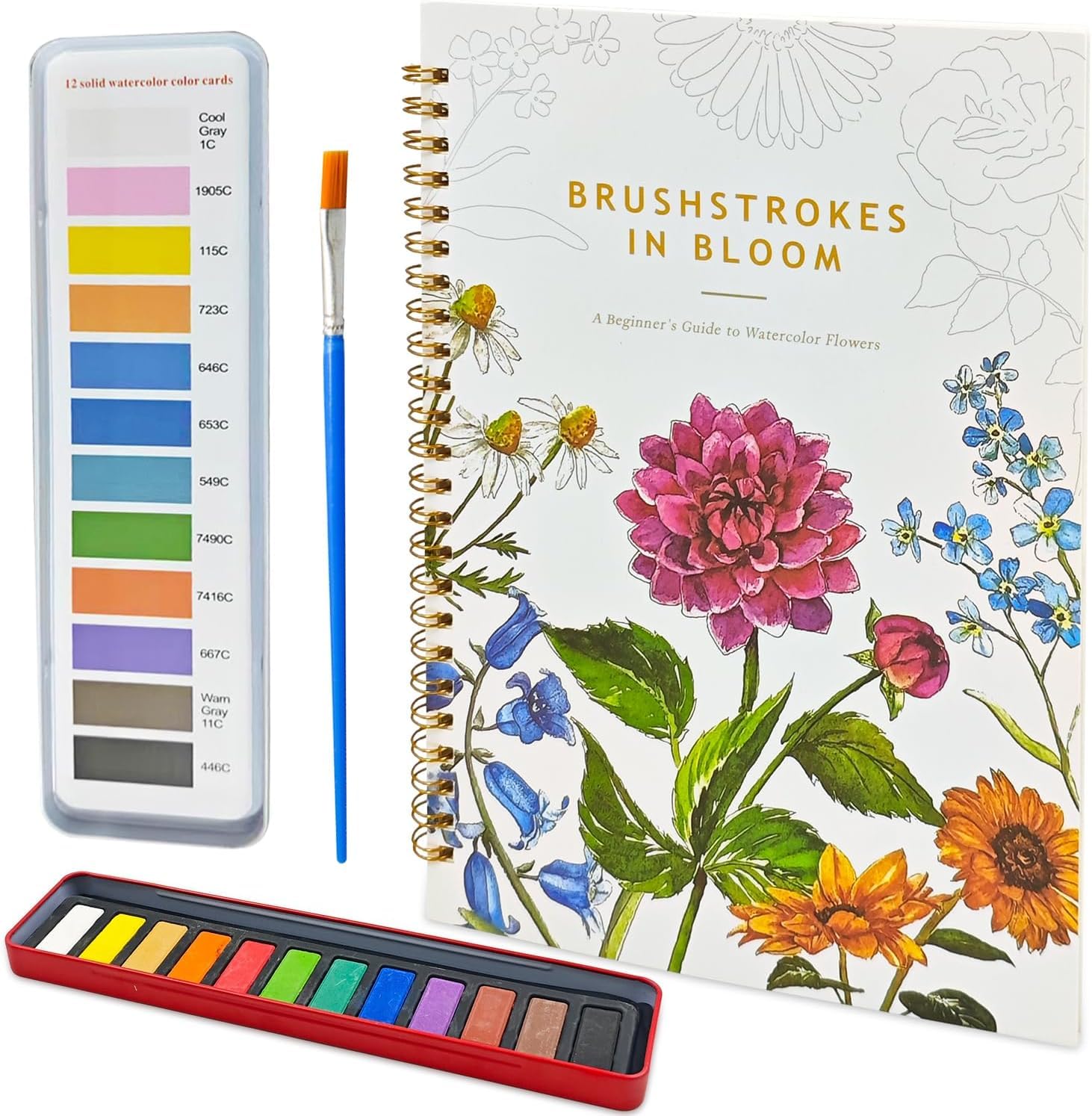 Cahier Aquarelle Adulte avec Pigment Pinceau Kit Aquarelle Débutant