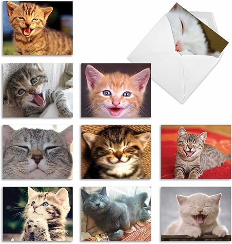 The Best Card Company - 10 tarjetas de gato en blanco para todas las ocasiones (4 x 5.12 pulgadas) - Lindo juego de tarjetas a granel surtido -