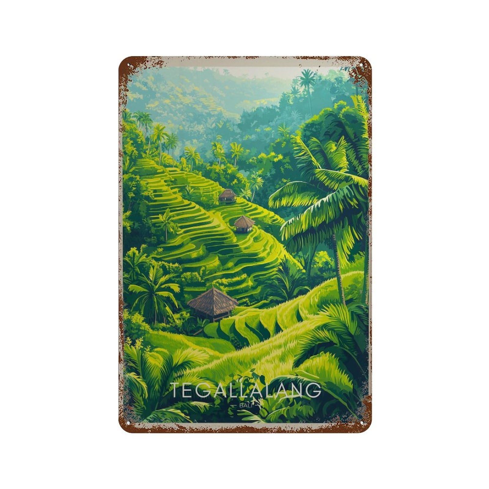 xiaoxiaoshen Bali Travel Tegallalang Rice Terraces Wall Decor Art Metal Tin Poster Modern Home Decor Art Home Bar Shop Decorations Vintage Sign 30x20cm