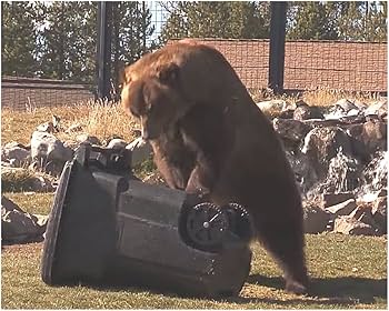 Amazon.co.jp: クマに強い ゴミ箱 動物 アライグマ げっ歯類 安全