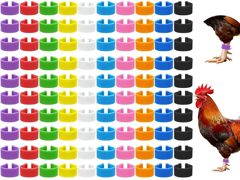 Keedolla 200 Pcs 16mm Chicken Leg Rings Colorful Numbered Chicken Identification Leg Bands Clip on Poultry Foot Rings Chicken Ankle Tags for Chicks Duck Bantam Guinea Pigeons Gamefowl