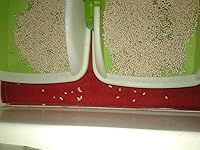 Review Image by Infiniti Infiniti