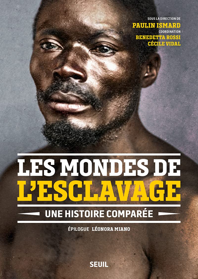 Les Mondes de l'esclavage: Une histoire comparée