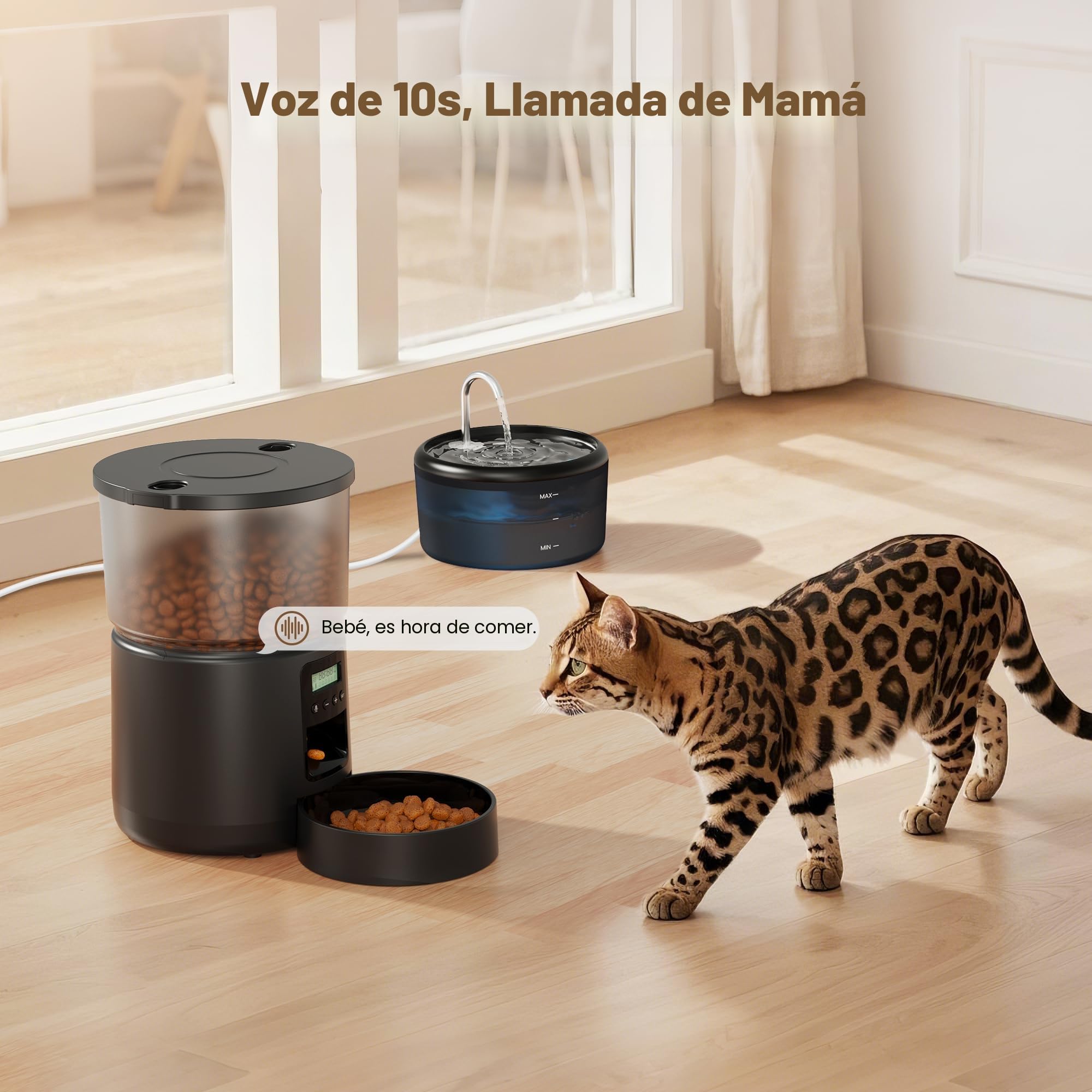 Comedero Gato Automatico y Fuente para Gatos: Dispensador Comida Gatos con Programable Temporizador 6 Comida al Día - 3L Alimentador Perro y 2.4L Bebedero para Pequeño/Mediano Mascota - 10S Grabación
