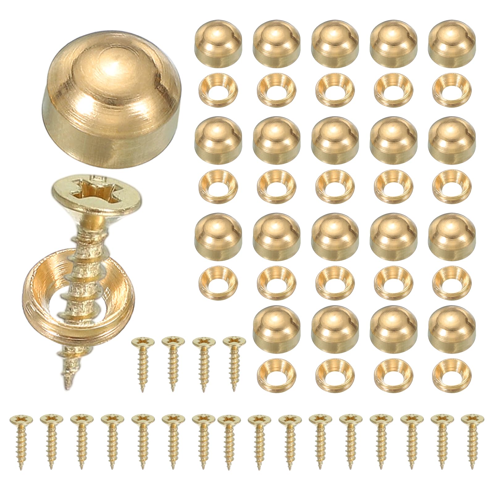YELARXI Brass Decorative Screws with Caps, Mirror Screw Self Tapping Screws Decorative Cover