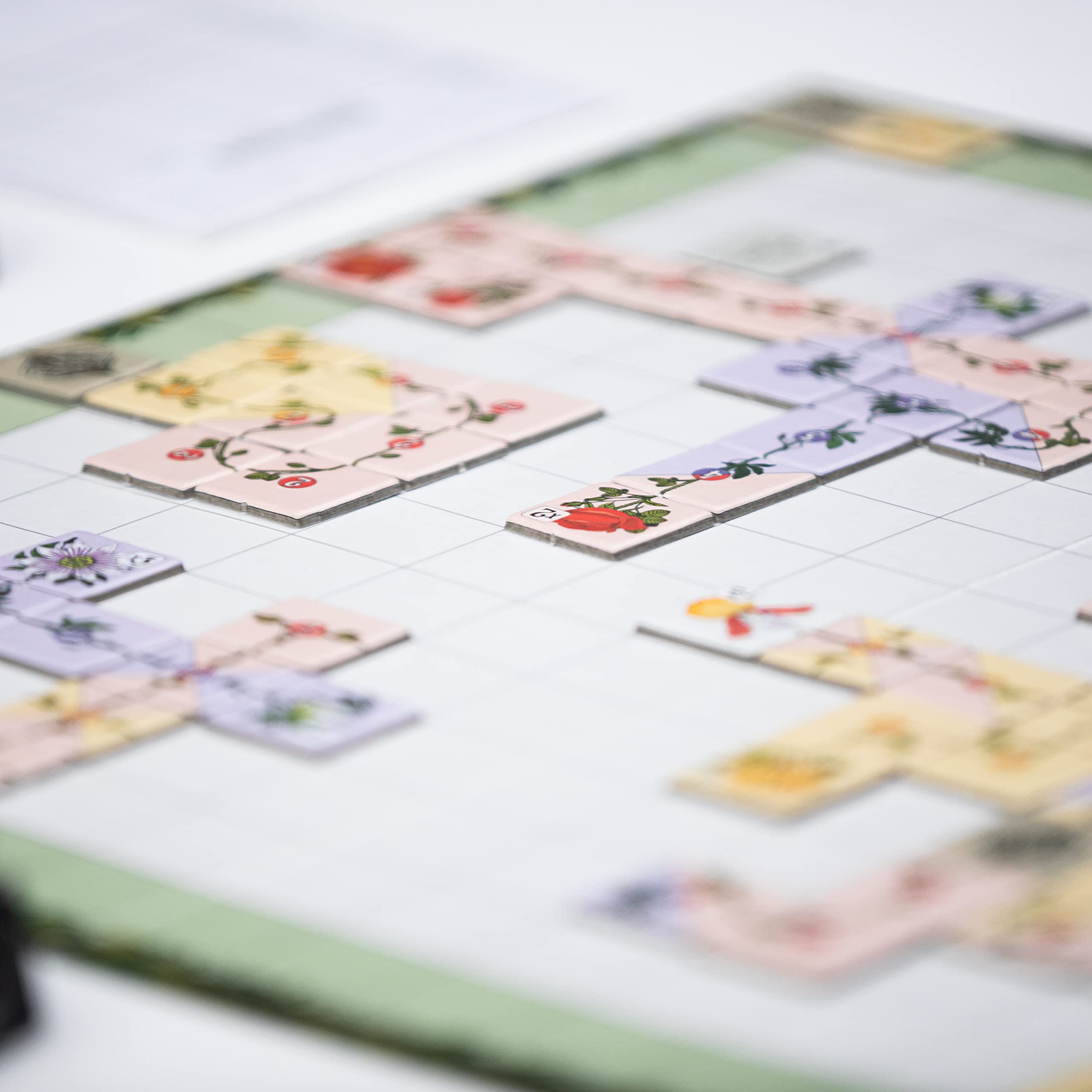 RANKULUM - Im Garten der Wilden Ranken - Das Lege Brettspiel für 2-4 Spieler - ab 8 Jahren