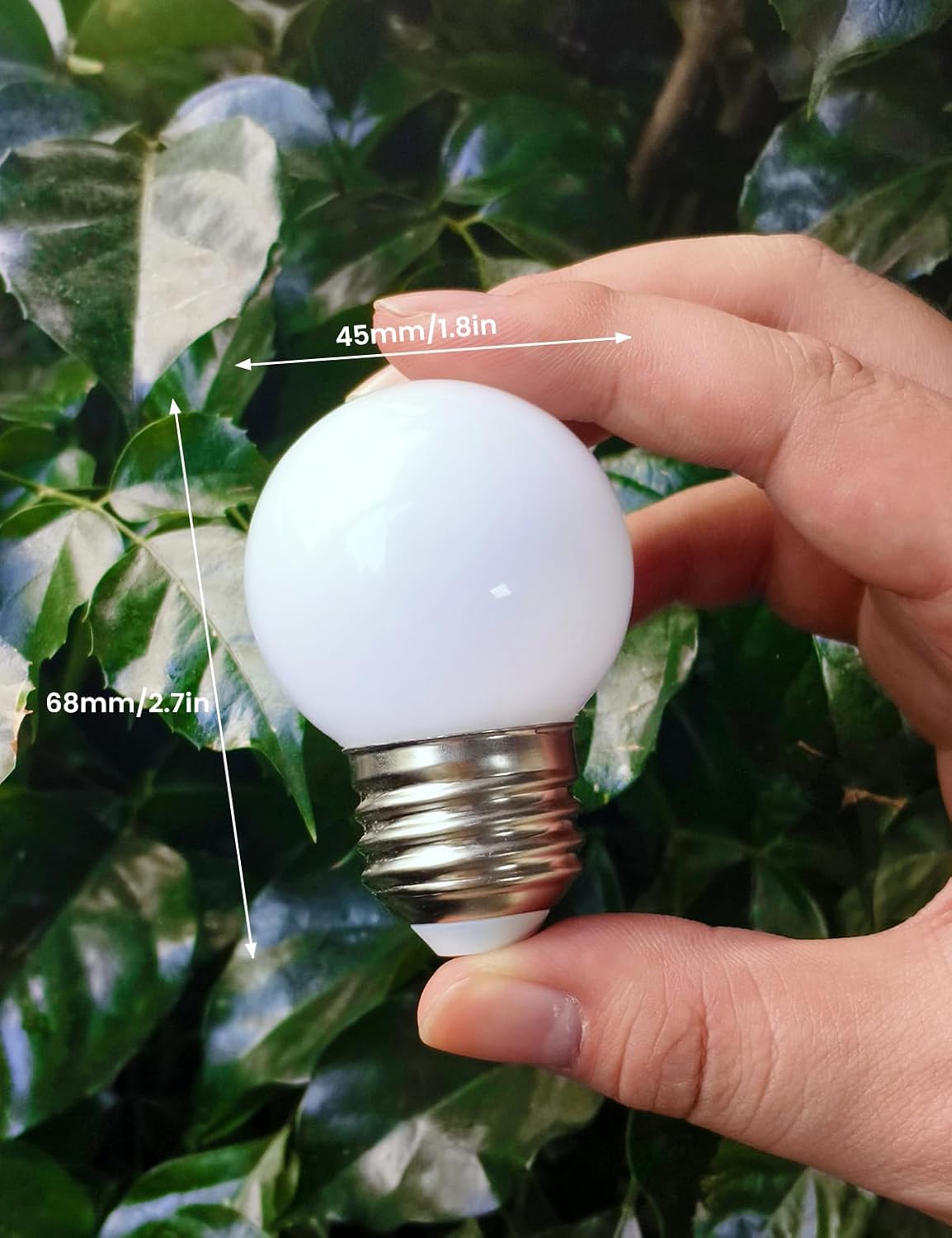 BSOD Refrigerator Light Bulb, 6000K Daylight Light Bulbs 95+ CRI, LED 5W Eq 40W, 120V E26 Base G45 Globe Small Lightbulbs, Vanity Waterproof Full Spectrum for Fridge, Bathroom, Office, Plants...