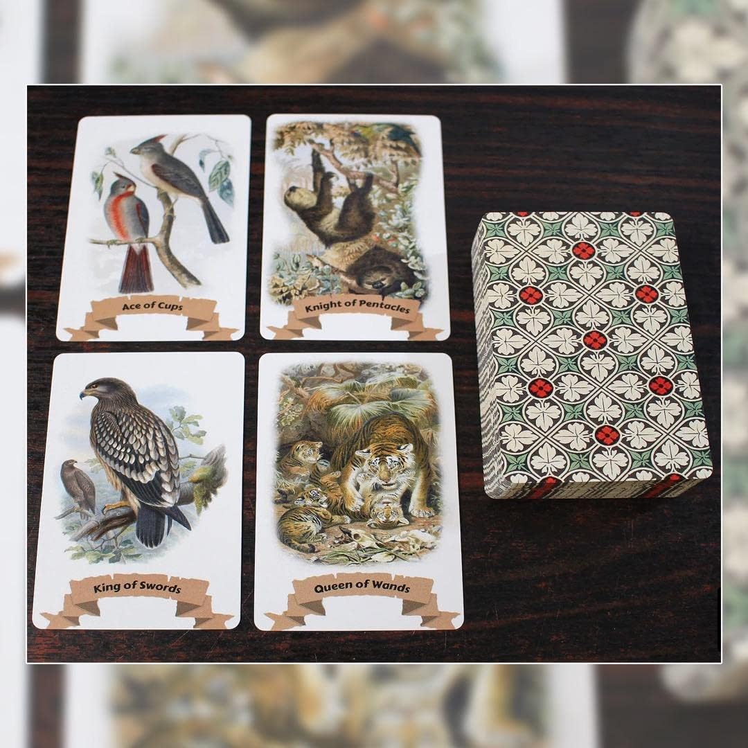 希少！ 【TAROT DE NAPOLEON】 タロットカード イタリア製