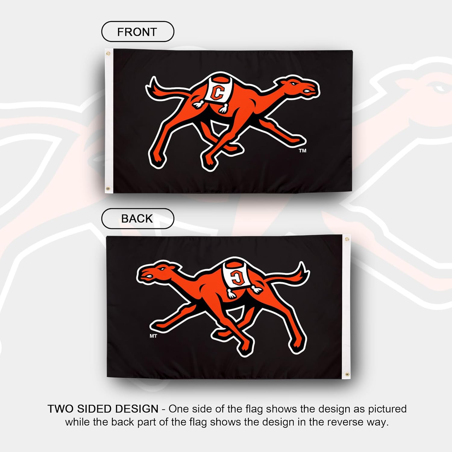 Desert Cactus Campbell University CU Flag - 3 x 5 Feet Camels Banner, Indoor/Outdoor Durable Fabric, 100% Polyester Design (Style A) - Image 2