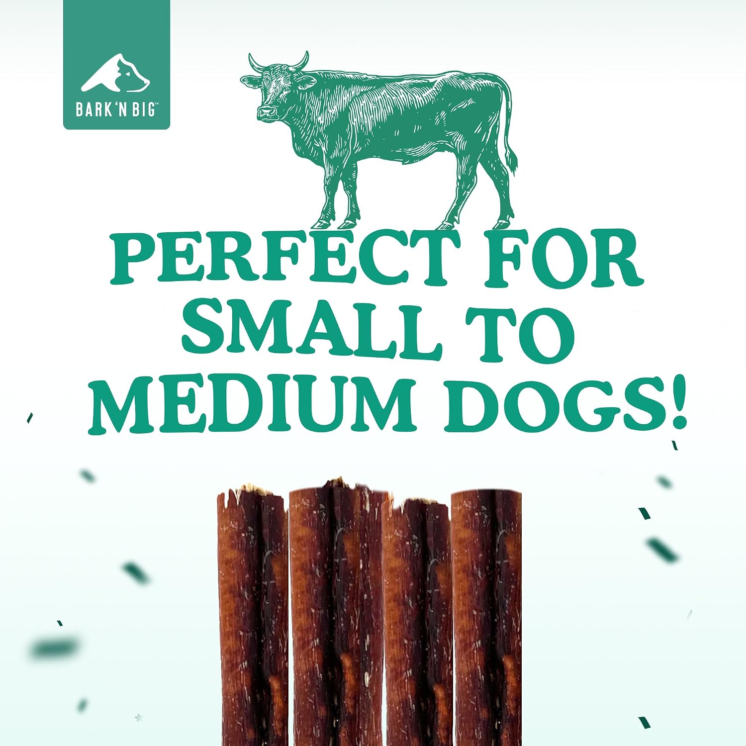 BARK'N BIG 6 Inch Odor Free Bully Sticks for Dogs Made in USA - Single Ingredient Dog Chew - Premium Pizzle Sticks - Beef Pizzles for Small and Medium Breeds - 12 Count