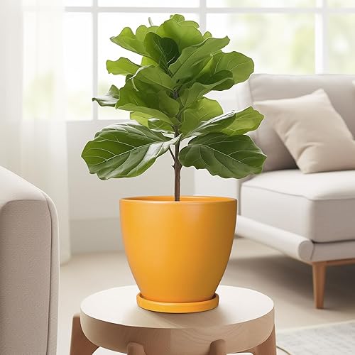 Miniatura 4 de Maceta de cerámica de 6.8 pulgadas con orificio de drenaje y platillo, maceta redonda moderna, macetas para plantas de interior, decoración del