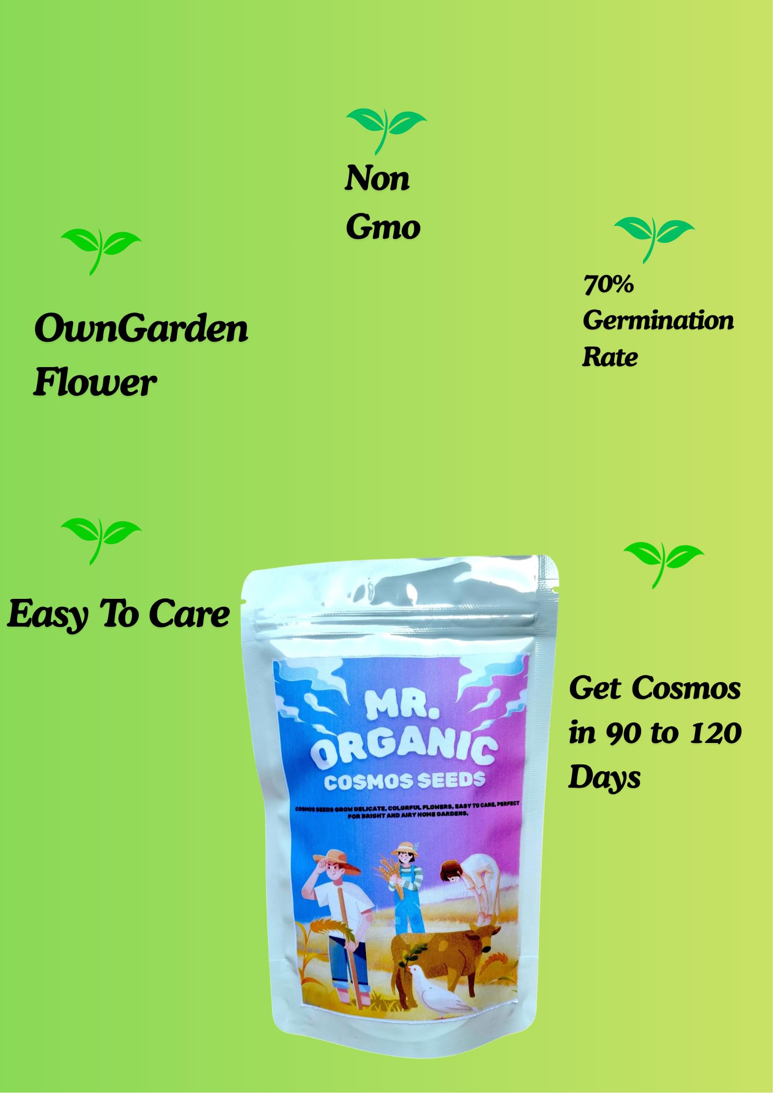 Mr.Organic Cosmos Flower Seeds - Vibrant Home Garden Mix -5 Mr.Organic Cosmos Flower Seeds - Vibrant Home Garden Mix -5