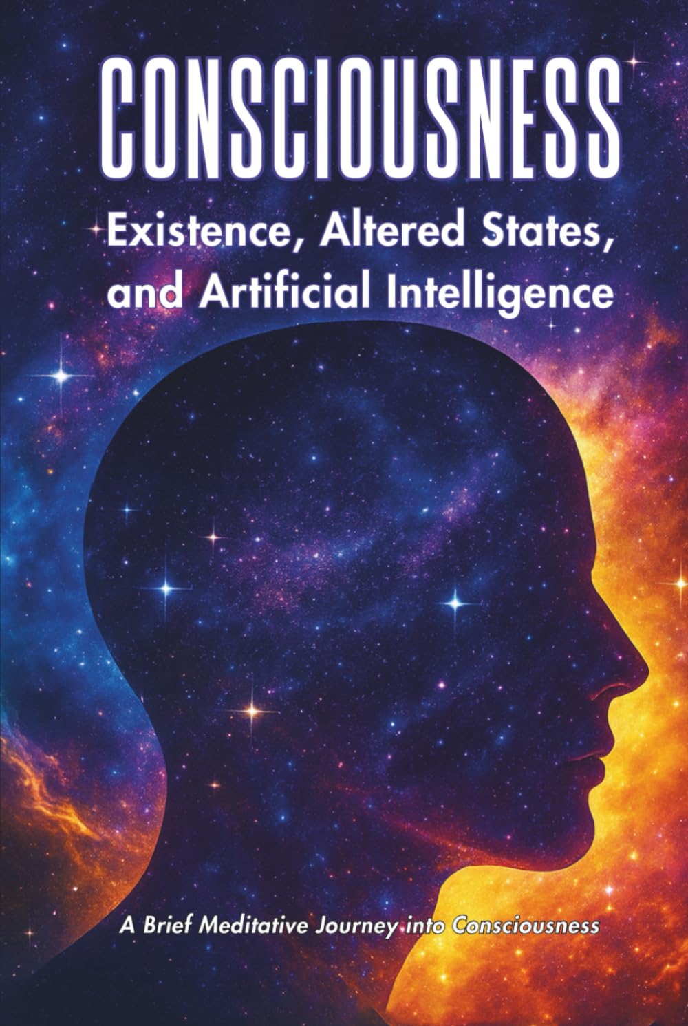 CONSCIOUSNESS: Existence, Altered States, And Artificial Intelligence
